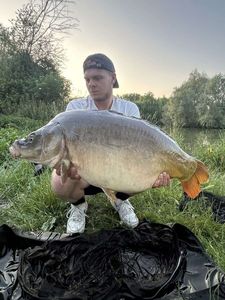 Mirror Carp