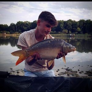 Mirror Carp