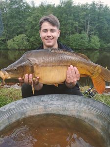 Common Carp