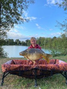 Mirror Carp