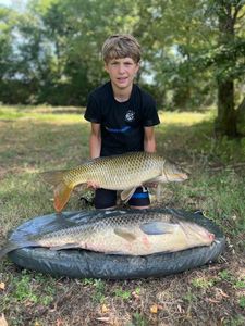 Grass Carp