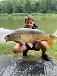 Mirror Carp
