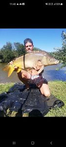 Mirror Carp