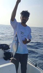 Southern Bluefin Tuna