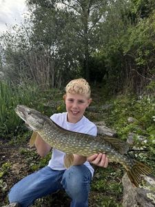 Northern Pike