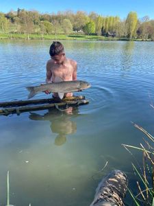 Silver Carp