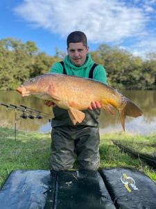 Mirror Carp