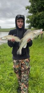 Zander