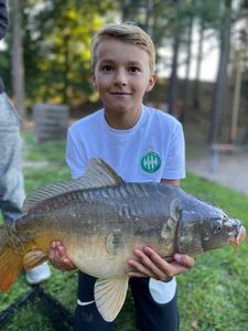 Mirror Carp