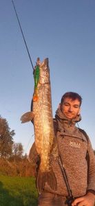 Northern Pike