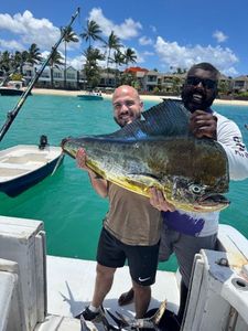 Dolphinfish