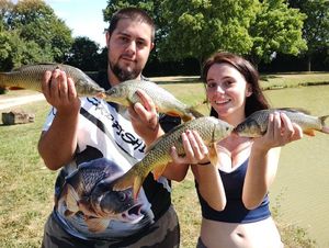 Common Carp