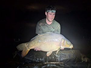 Mirror Carp