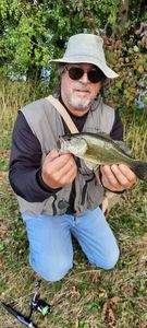 Largemouth Bass