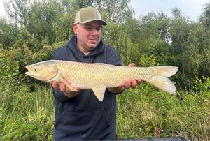 Grass Carp
