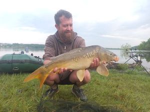 Mirror Carp