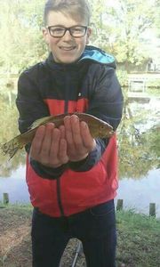 Largemouth Bass