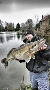 Zander
