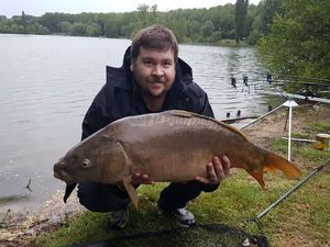Mirror Carp