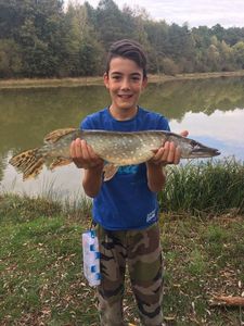 Northern Pike