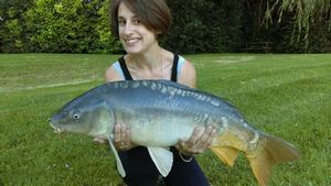 Mirror Carp