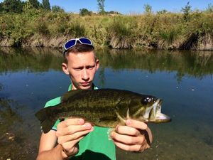 Largemouth Bass