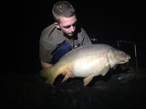 Mirror Carp