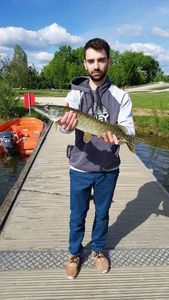Northern Pike