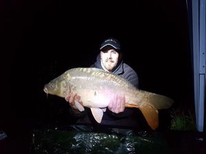 Mirror Carp