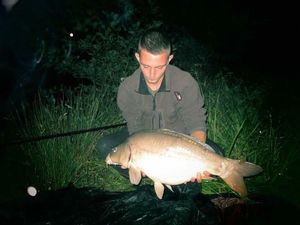 Mirror Carp