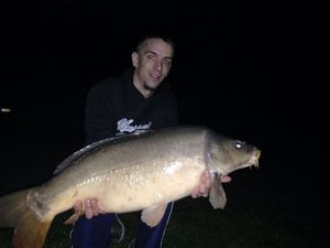 Mirror Carp