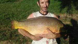 Mirror Carp