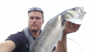 European Bass (Seabass)
