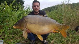 Mirror Carp