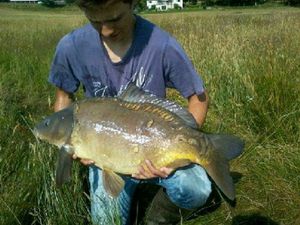 Mirror Carp