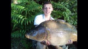 Mirror Carp