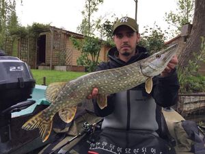 Northern Pike