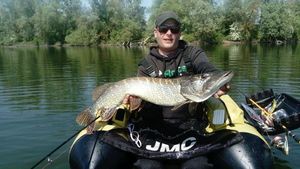 Northern Pike