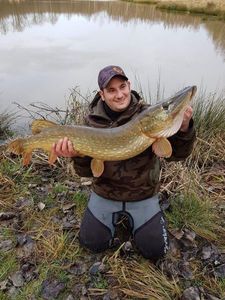 Northern Pike