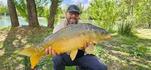 Mirror Carp