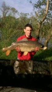 Common Carp