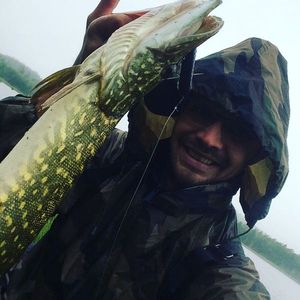 Northern Pike