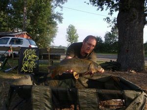 Common Carp