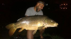 Mirror Carp