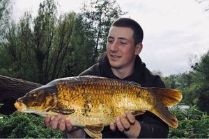 Koï Fish