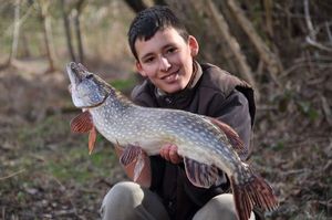 Northern Pike