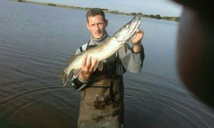 Northern Pike