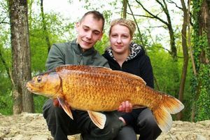 Koï Fish