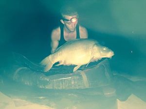 Mirror Carp