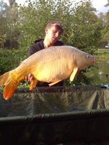 Mirror Carp